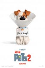Watch The Secret Life of Pets 2 Movie2k