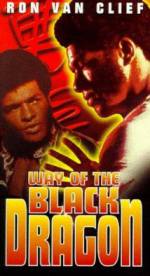 Watch Way of the Black Dragon Movie2k