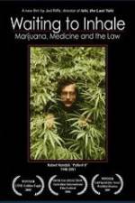 Watch Waiting to Inhale Movie2k