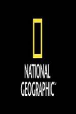 Watch National Geographic Wild Animal Attacks On Vacation Movie2k