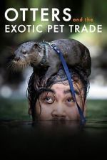 Watch Otters and the Exotic Pet Trade Movie2k