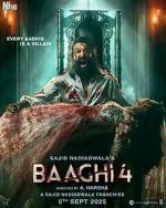 Watch Baaghi 4 Movie2k