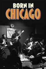 Watch Born In Chicago Movie2k