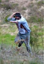 Watch Riot or Revolution: Eureka Stockade 1854 Movie2k