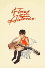 Watch Flores para Antonio Movie2k