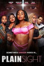 Watch Plain Sight Movie2k