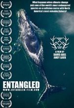 Watch Entangled: The Race to Save Right Whales from Extinction Movie2k