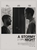Watch A Stormy Night Movie2k