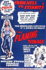 Watch The Flaming Teenage Movie2k