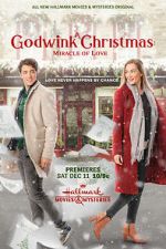 Watch A Godwink Christmas: Miracle of Love Movie2k