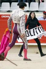 Watch Bull Runners of Pamplona Movie2k