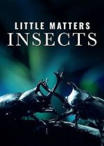 Watch Little Matters: Insects Movie2k
