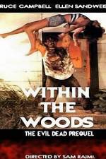 Watch Within the Woods Movie2k