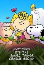 Watch Snoopy Presents: It's the Small Things, Charlie Brown (TV Special 2022) Movie2k