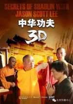 Watch Secrets of Shaolin with Jason Scott Lee Movie2k