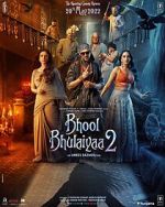 Watch Bhool Bhulaiyaa 2 Movie2k