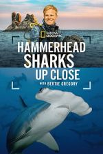 Watch Hammerhead Sharks Up Close with Bertie Gregory Movie2k