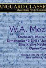 Watch Whiteforce Movie2k