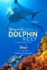 Watch Dolphin Reef Movie2k