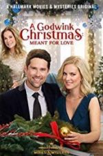 Watch A Godwink Christmas: Meant for Love Movie2k
