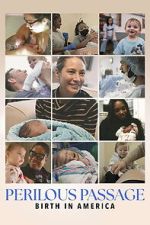Watch Perilous Passage: Birth in America Movie2k
