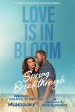 Watch Spring Breakthrough Movie2k