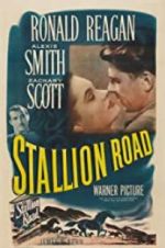 Watch Stallion Road Movie2k
