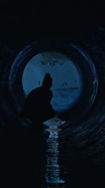 Watch Gwafi (Short 2022) Movie2k