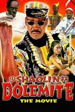 Watch Shaolin Dolemite Movie2k