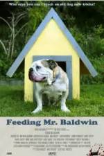Watch Feeding Mr. Baldwin Movie2k