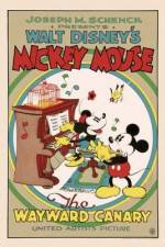 Watch The Wayward Canary Movie2k