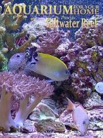 Watch Aquarium for Your Home: Saltwater Reef Movie2k