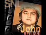 Watch Saturday Night Live: The Best of John Belushi Movie2k