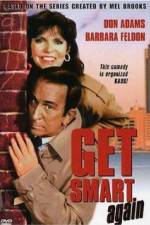 Watch Get Smart Again Movie2k
