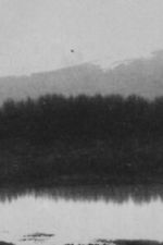 Watch Ch\'an Movie2k