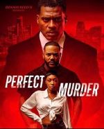 Watch Perfect Murder Movie2k