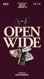 Watch Open Wide Movie2k