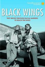 Watch Black Wings Movie2k
