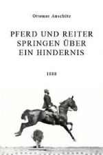 Watch Pferd und Reiter Springen ber ein Hindernis Movie2k