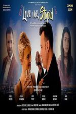 Watch Love Me Stupid Movie2k