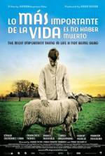 Watch The Most Important Thing in Life Is Not Being Dead Movie2k