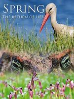 Watch Spring: The Return of Life Movie2k