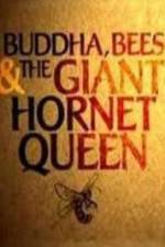 Watch Natural World Buddha Bees and the Giant Hornet Queen Movie2k