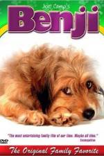 Watch Benji Movie2k