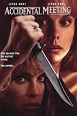 Watch Accidental Meeting Movie2k