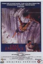 Watch Last Embrace Movie2k