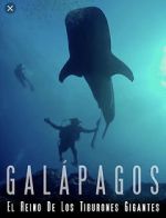 Watch Galapagos: Realm of Giant Sharks Movie2k