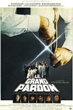 Watch The Big Pardon Movie2k