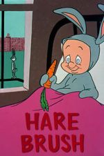 Watch Hare Brush (Short 1955) Movie2k