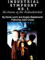 Watch Industrial Symphony No. 1: The Dream of the Brokenhearted Movie2k